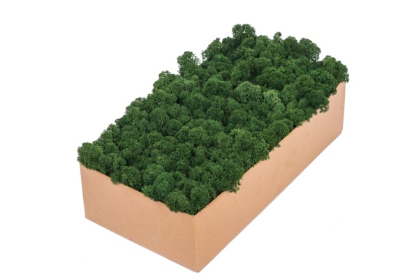 Purified Reindeer Moss Dark Green 4kg FINNISH